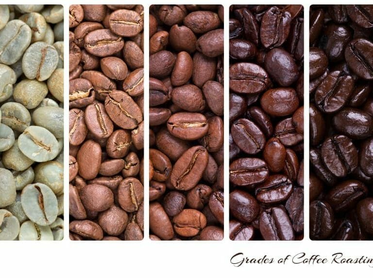 Should coffee be roasted light or dark?