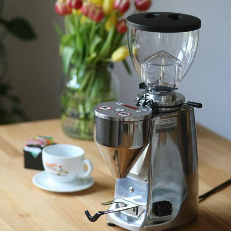 Mazzer Mini Review – Helpful Guide & Test