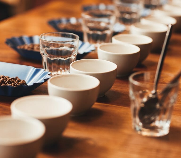 Coffee Cupping: What is it and steps to do it at home?